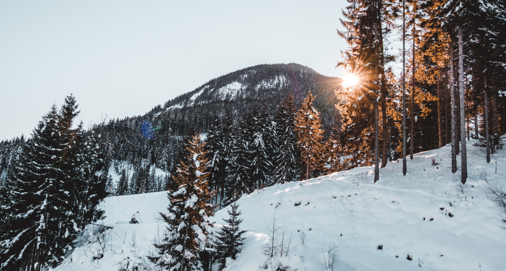 Sarah Harrington Vermont Realtor Sarah Harrington